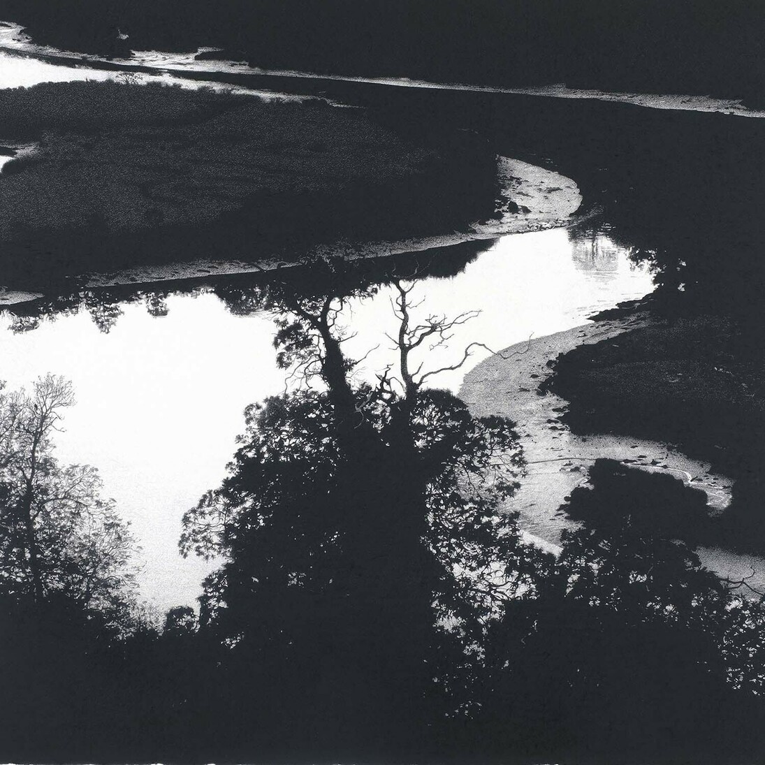 Sarah Gillespie, A Bend in the River, 2014, Ink and charcoal on 638gsm paper, 101.5 x 101.5 cm (40 x 40 inches)
