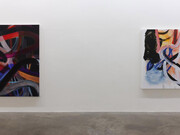 Liliane Tomasko. Courtesy of Kerlin Gallery