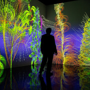Miguel Chevalier, Extra natural. Generative and interactive virtual reality installation, exhibition Flowers Forever, Kunsthalle München, 2023. Courtesy of Kunsthal Rotterdam