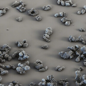 Hybrid Matter. Courtesy of Gallery Dittrich & Schlechtriem