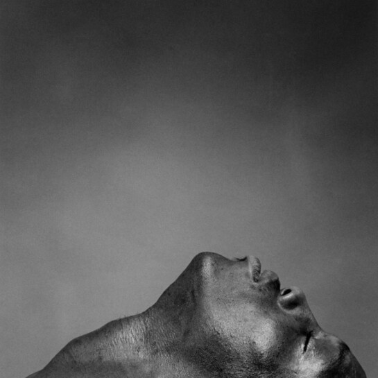 Alair Gomes e Robert Mapplethorpe. Courtesy of Fortes D’Aloia & Gabriel 