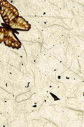 Paper technology. Courtesy of German Museum of Technology