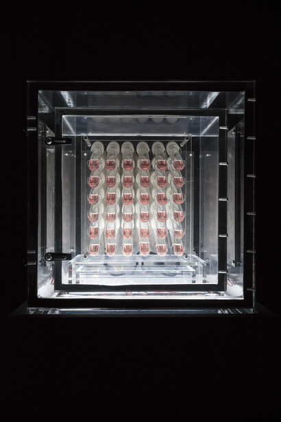 New Molecules & Stem Cell Retinoid Screen. Courtesy of Empty Gallery