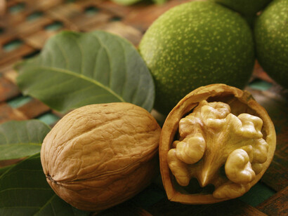 Die vorteilhaften Eigenschaften von Nüssen