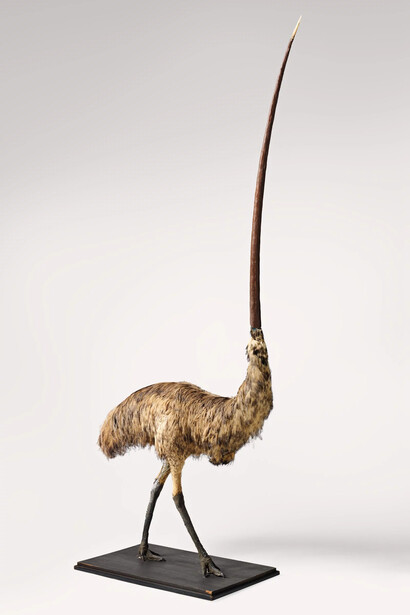 Nature, artwork in exhibition. Courtesy of the National Gallery of Australia