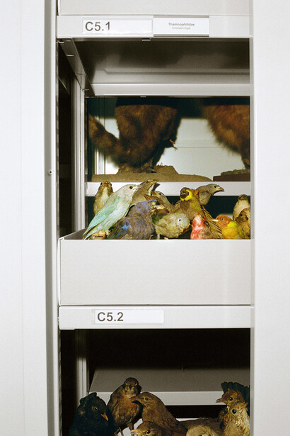 Denise Bertschi. Courtesy of Aargauer Kunsthaus