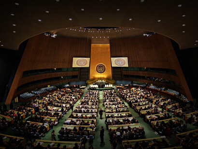Asamblea General de la Organización de Naciones Unidas (ONU)