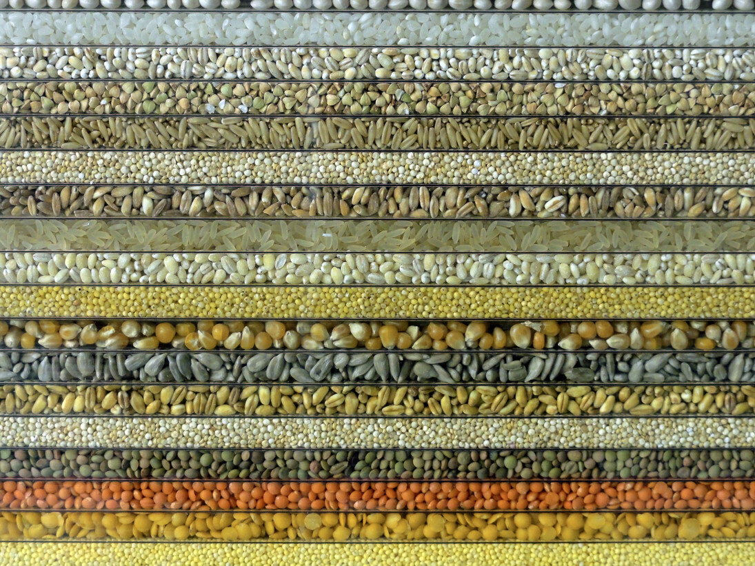 Loris Cecchini, The polychromeseedsessions (collection 1), 2015, natural seeds incapsulated into UV-shielded alveolar polycarbonate, wood and metal frame, 151 x 201 x 5 cm