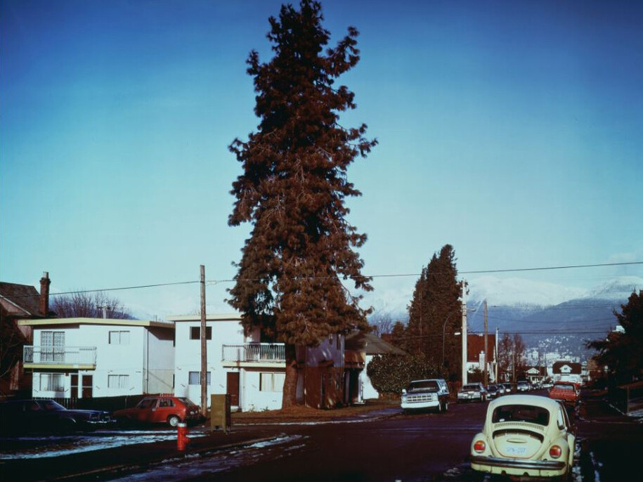 Jeff Wall, The Pine on the corner, 1990, JPMorgan Chase Art Collection, Courtesy of the Artist and Marian Goodman Gallery