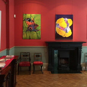 Matt Gee, installation view of Nutri-Artifice