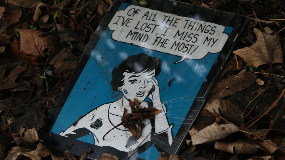 A cartoon of a woman talking on a cell phone, lying on the floor, depicted as a meme