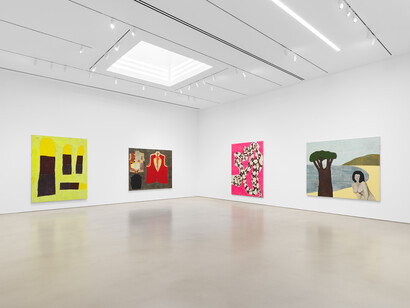 Tomoo Gokita, installation view. Courtesy of Dan Bradica, the artist and Petzel, New York