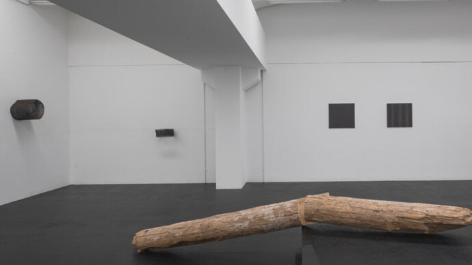 Locus Rei, Exhibition view. Courtesy of Galleria Doris Ghetta