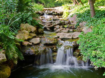 Mis pies se han vuelto raíces de la Tierra