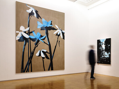 Markus Huemer, A football pitch must be free from trees, exhibition view. Courtesy of Neue Galerie Graz