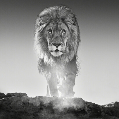 Greenwich Winter Sale & Giving Days. Courtesy of Isabella Garrucho Fine Art