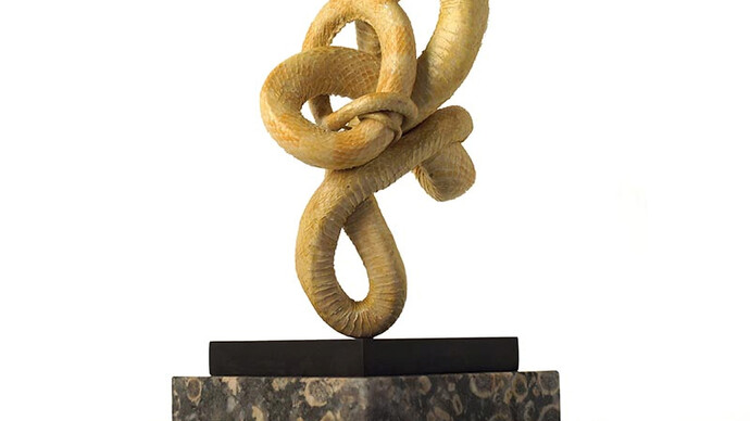 Polly Morgan, Depression in a Surface