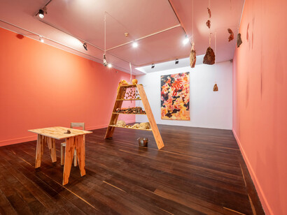 Liliana Sánchez, Fruto animal, vista de exhibición. Cortesía de Galería Casas Riegner