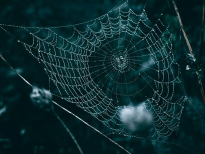 Every poem is a web of maybes, spun between longing and loss