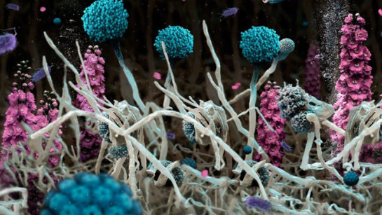 Aqua Aura. Courtesy of Luisa Catucci Gallery 