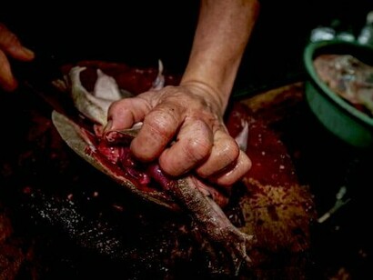 En algunos mercados húmedos chinos es posible encontrar animales de todo tipo