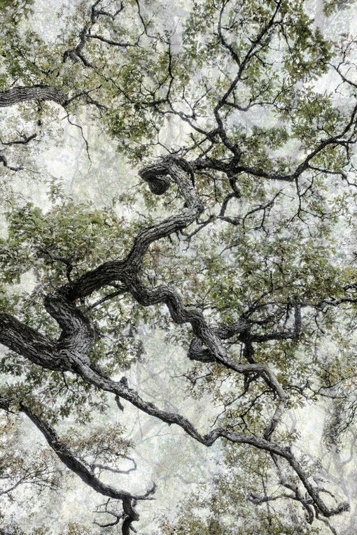 Santeri Tuori. Courtesy of Purdy Hicks Gallery