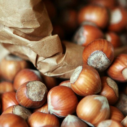 La nocciola Tonda Gentile delle Langhe