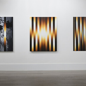 Im/material, Exhibition view. Courtesy of Sophia Contemporary