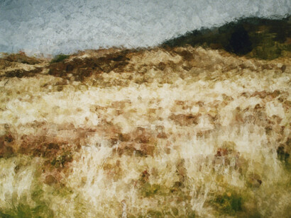 Baghir. Courtesy of Galerie Photo12