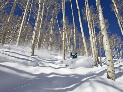 Skiing among the trees of Aspen