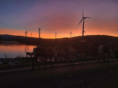 Arctic region of Norway and Russia utilizing wind turbines