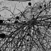Koudelka. Courtesy of National Gallery