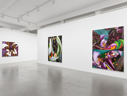 Vivien Zhang, Field conditions, exhibition view. Courtesy of Galerie Max Hetzler