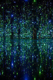 Yayoi Kusama. Courtesy of Phoenix Art Museum