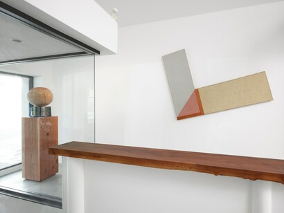 Jesse Schlesinger and Manfredo de Souzanetto, exhibition view. Courtesy of Anthony Meier Fine Arts