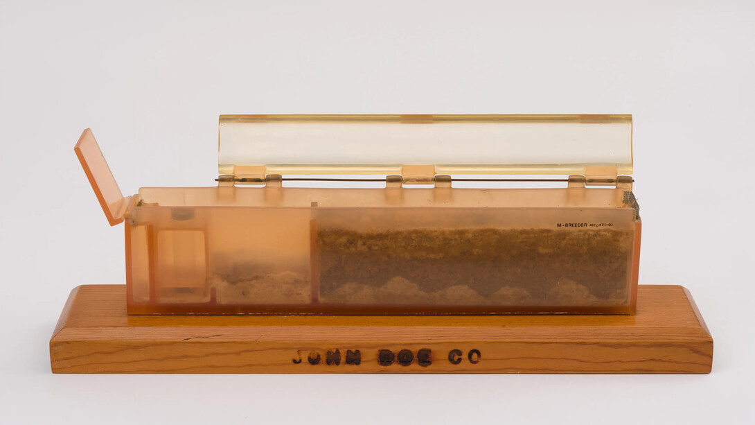 Carl Cheng, M - Breeder, 1971. Courtesy of Philip Martin Gallery