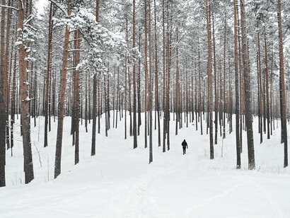 El poema es la reconciliación de la esencia del hombre y de la esencia del mundo