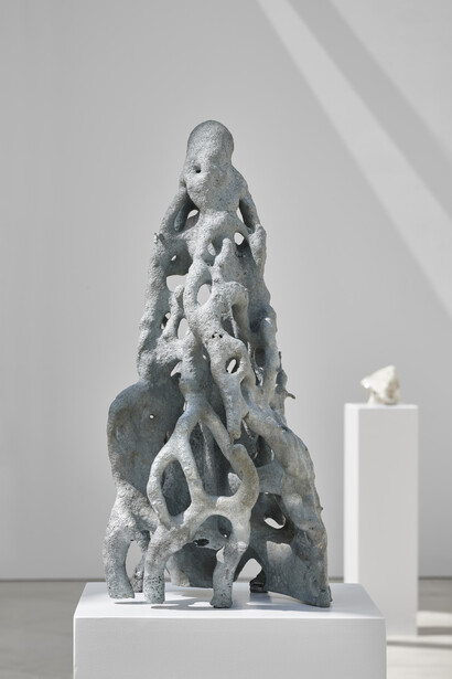 Agnieszka Kurant, A.A.I. (system’s negative) (detail), 2016. Courtesy of Mudam Luxembourg