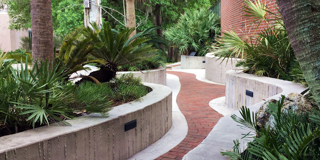 Fossil Plant Garden. Courtesy of Florida Museum of Natural History