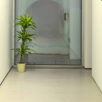 «Todos nós nascemos originais e morremos cópia», CECAL Centro de Experimentação Artística e Criação de Loulé. Foto de Vasco Célio/ Stills