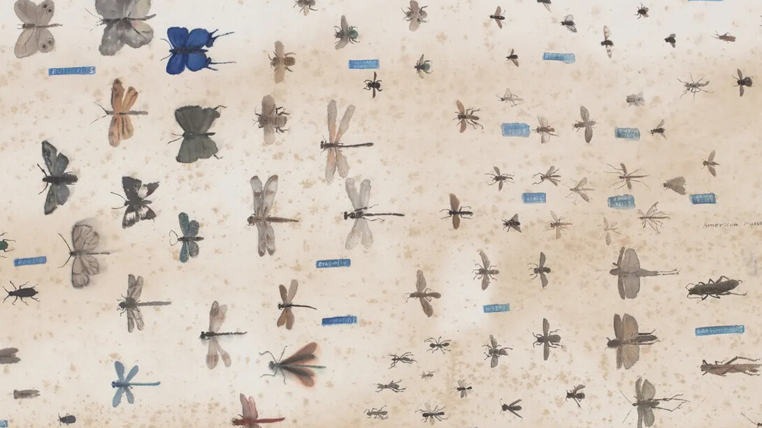 Luo Min Chinese, Memories from American Museum of Natural History 美国自然历史博物馆的草虫图 No.1 (detail), 2024. Courtesy of Fu Qiumeng Fine Art