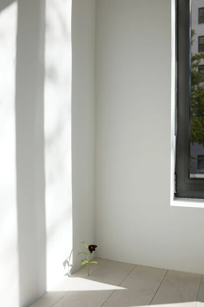 Suda Yoshihiro, exhibition view. Courtesy of Mignoni Gallery