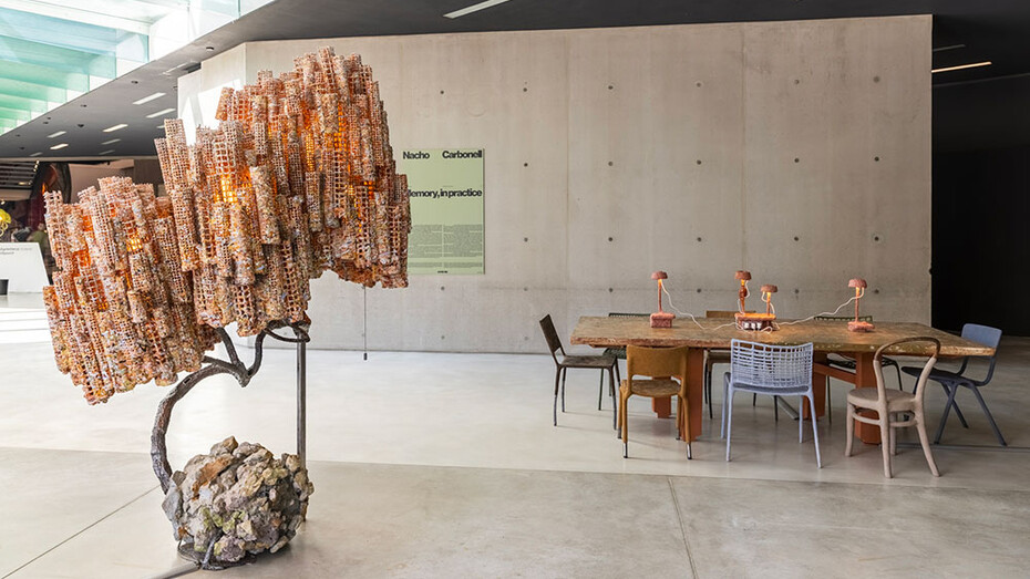 Nacho Carbonell, Entrate, vista della mostra. Per gentile concessione del Maxxi