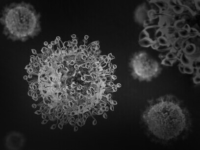 Corona virus visto bajo el lente de un microscopio