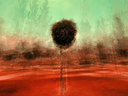 It was one of those tranquil days