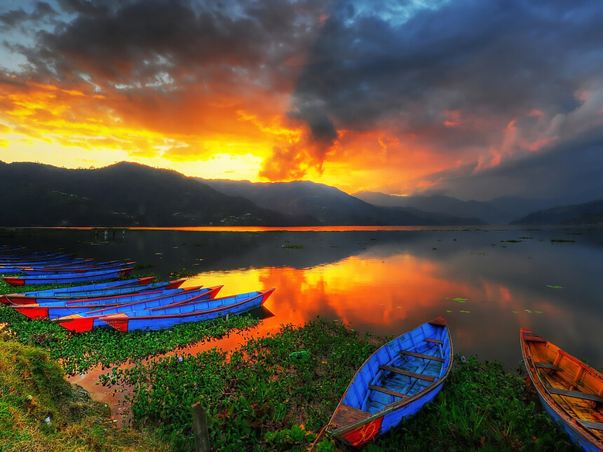 Would you step into a cave with 30,000 bats in Nepal?