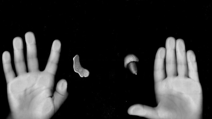 Émilie Perotto, "Un morceau de fer dont l’utilité n’était pas apparente", 2015