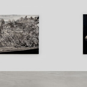 Joe Andoe. Courtesy of Almine Rech Gallery