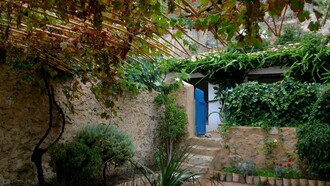 Casa-Museo de Miguel Hernández, emparrado, Calle Miguel Hernández 73, 03300 Orihuela, Alicante, España