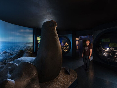 The world of Oceans. Courtesy of Haus der Natur 